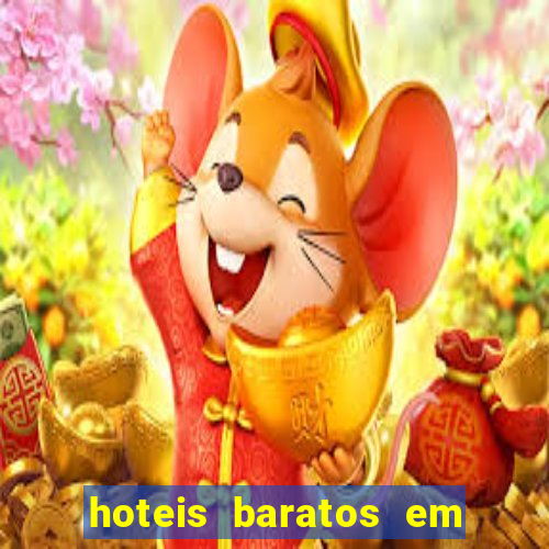 hoteis baratos em cruzeiro sp